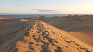 GC-Dunas de Maspalomas sunset 2026-137.jpg